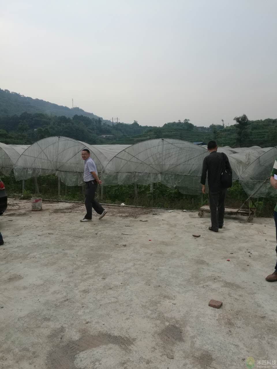 璧山豐合園葡萄基地照片（市農技站陳松柏站長、詹科長到現場參觀指導）